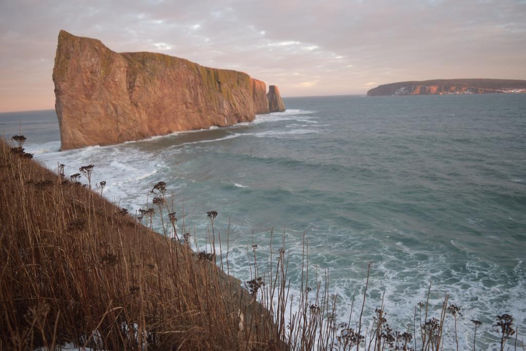 Gite Aux Jardins De L'Anse Percé Exterior foto