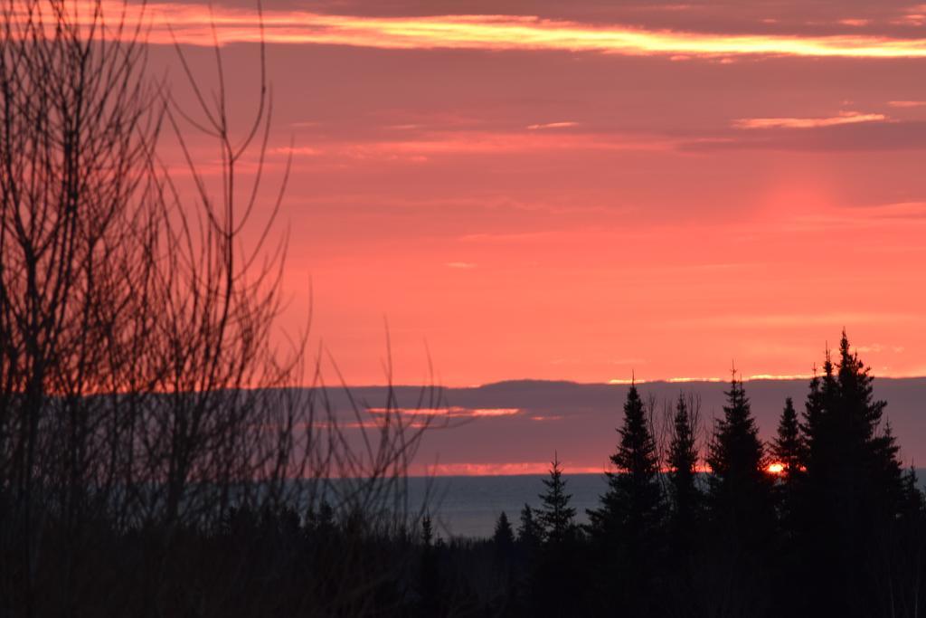 Gite Aux Jardins De L'Anse Percé Exterior foto