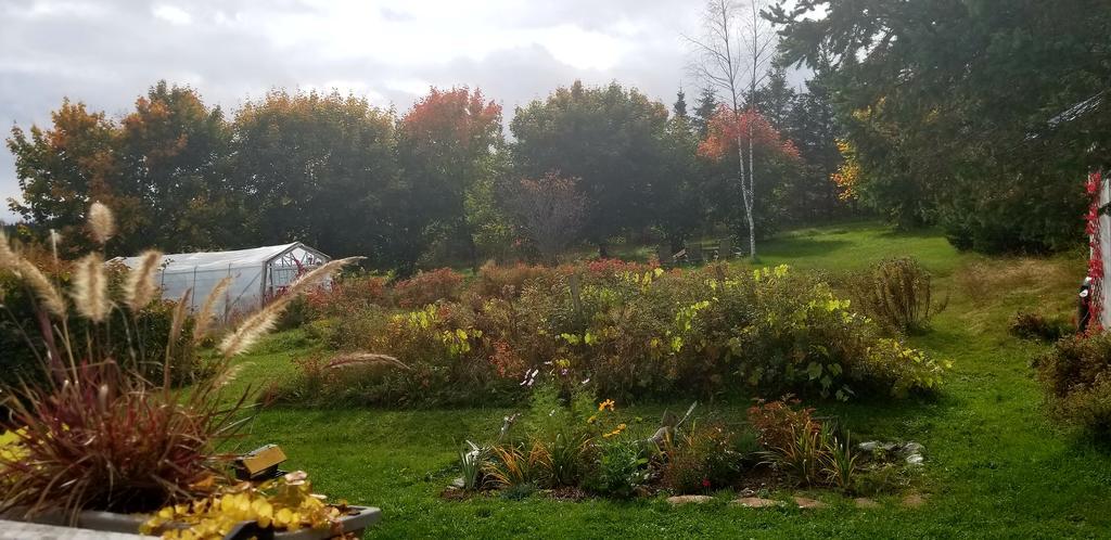 Gite Aux Jardins De L'Anse Percé Exterior foto